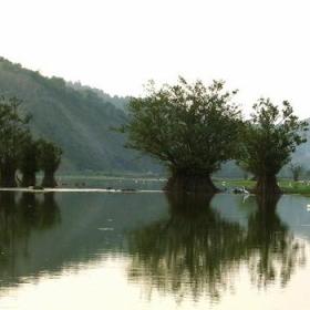 image a-serene-lake-in-guilan-northern-iran-jpg
