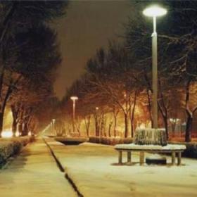 image chahar-bagh-avenue-isfahan-iran-jpg