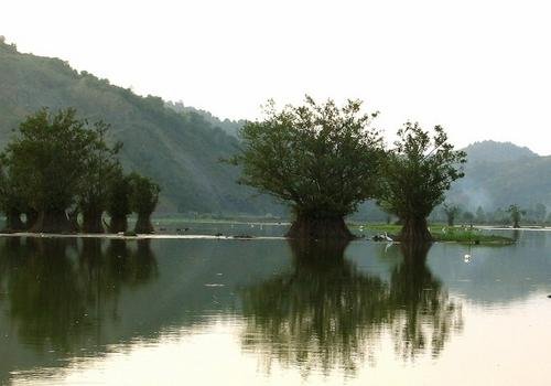 image a-serene-lake-in-guilan-northern-iran-jpg